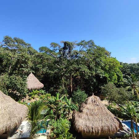 Colibri Parque Tayrona Dentro Del Parque Nacional Tayrona Bed and Breakfast Zaino Eksteriør billede