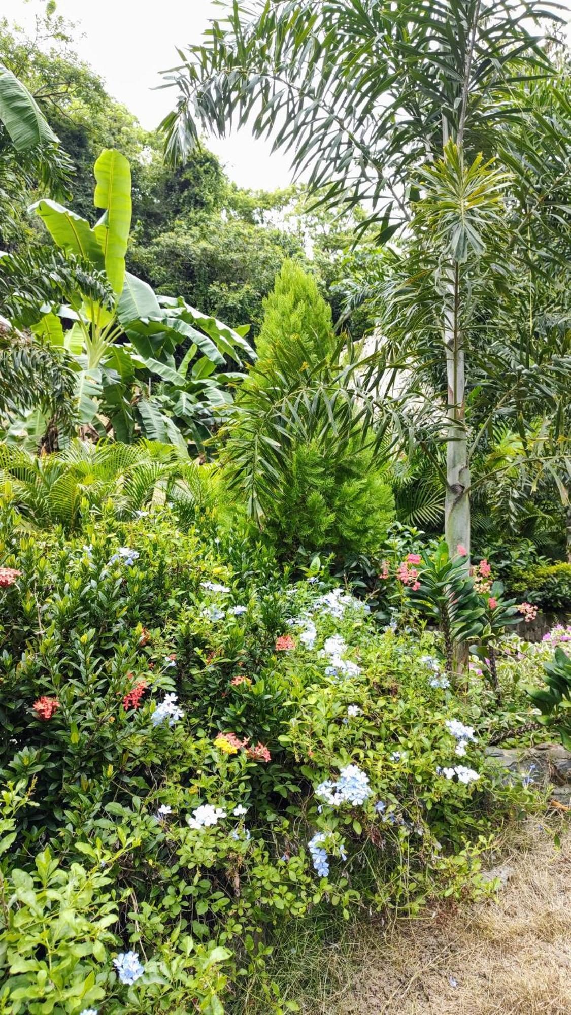 Colibri Parque Tayrona Dentro Del Parque Nacional Tayrona Bed and Breakfast Zaino Eksteriør billede