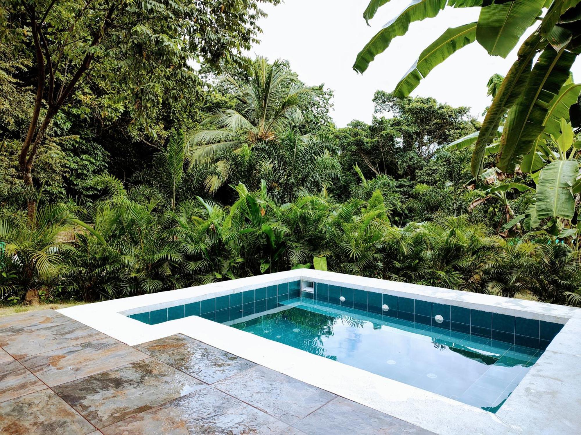 Colibri Parque Tayrona Dentro Del Parque Nacional Tayrona Bed and Breakfast Zaino Eksteriør billede
