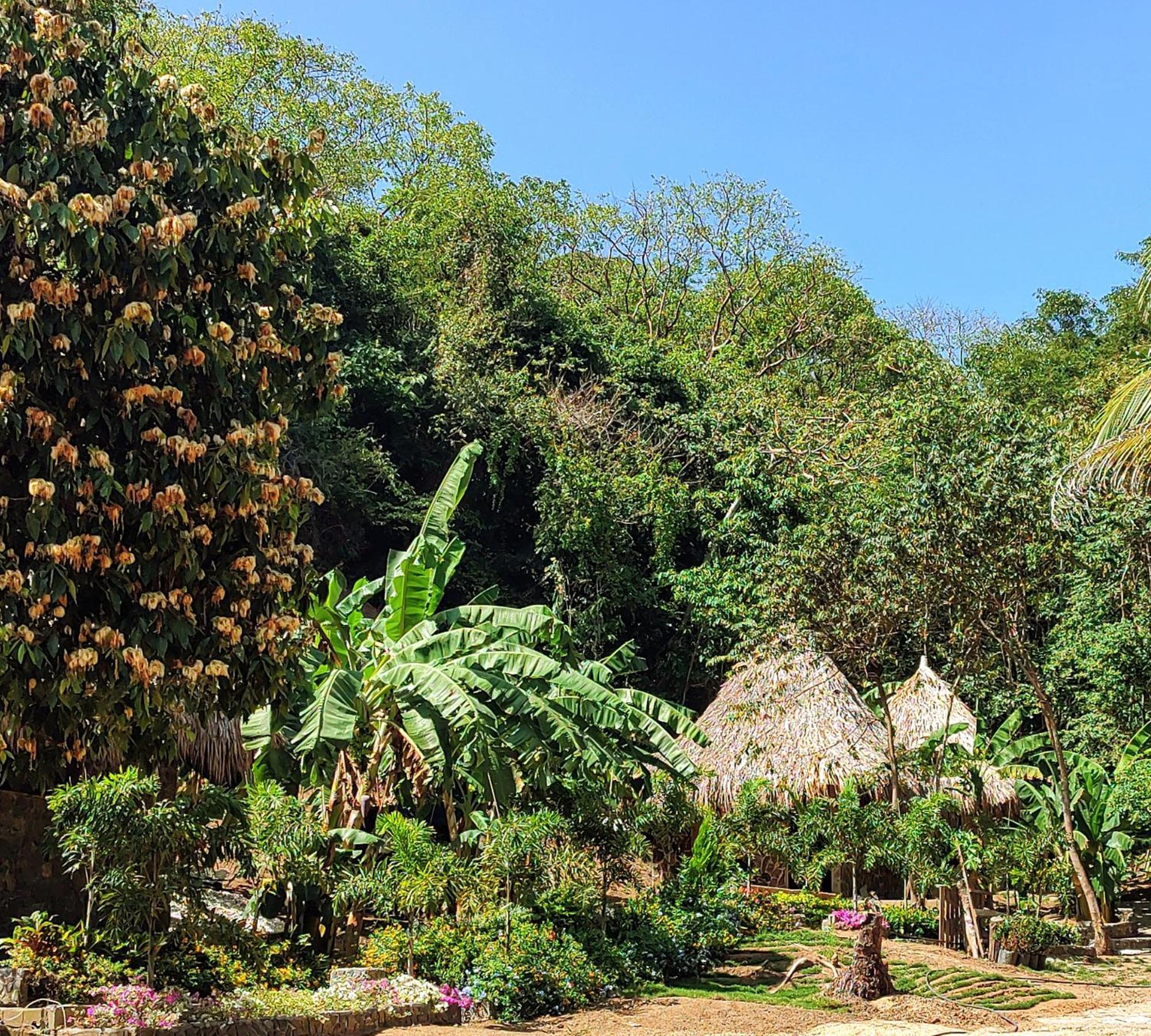 Colibri Parque Tayrona Dentro Del Parque Nacional Tayrona Bed and Breakfast Zaino Eksteriør billede