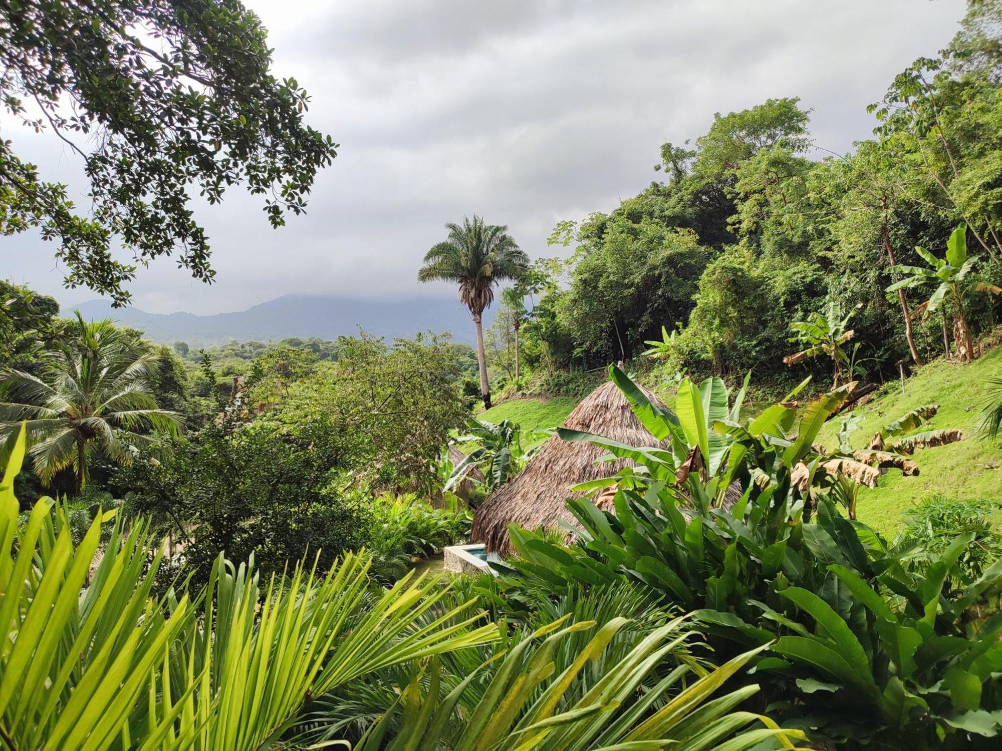 Colibri Parque Tayrona Dentro Del Parque Nacional Tayrona Bed and Breakfast Zaino Eksteriør billede