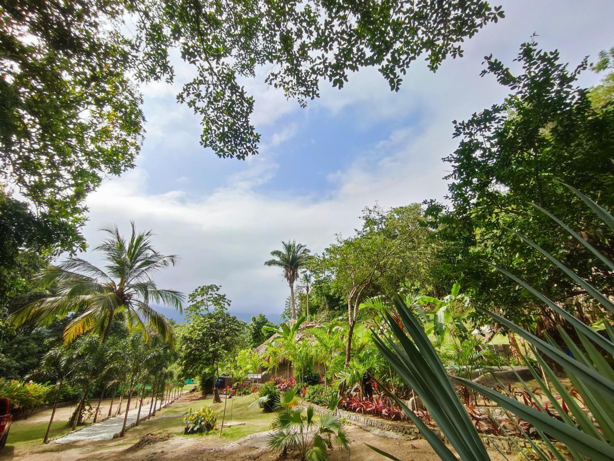 Colibri Parque Tayrona Dentro Del Parque Nacional Tayrona Bed and Breakfast Zaino Eksteriør billede