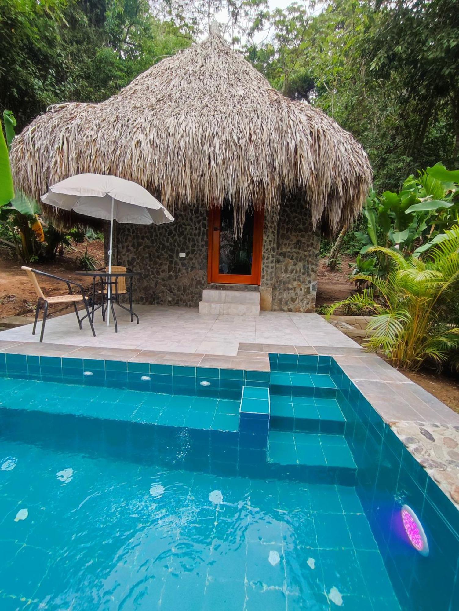 Colibri Parque Tayrona Dentro Del Parque Nacional Tayrona Bed and Breakfast Zaino Eksteriør billede