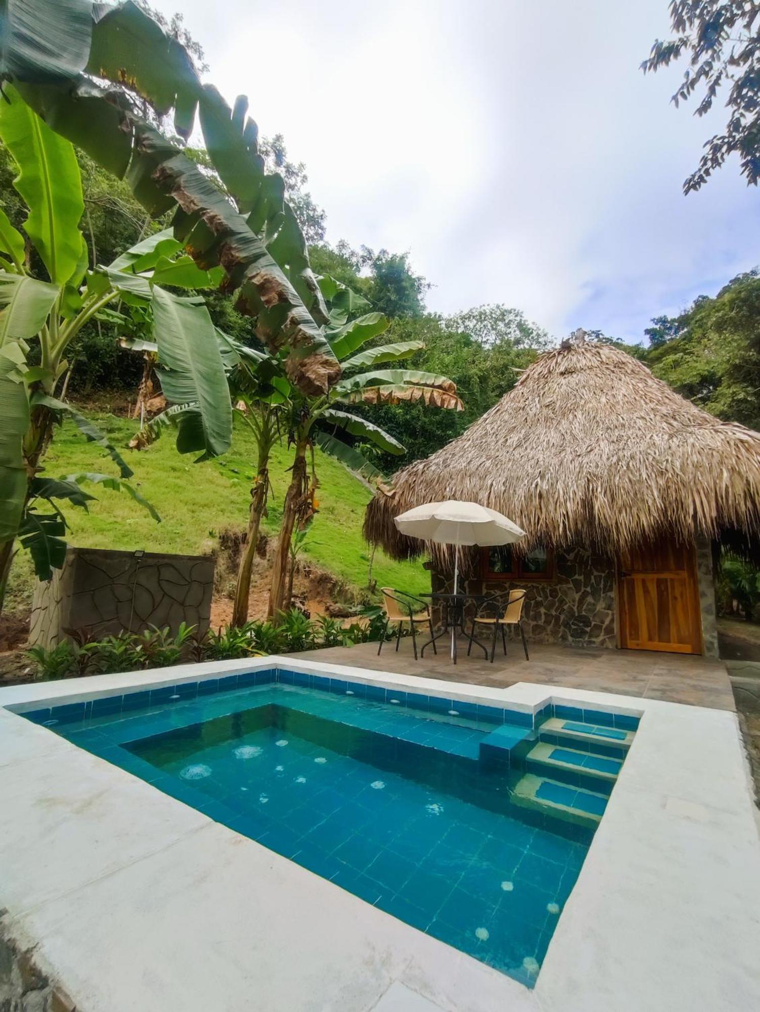 Colibri Parque Tayrona Dentro Del Parque Nacional Tayrona Bed and Breakfast Zaino Eksteriør billede