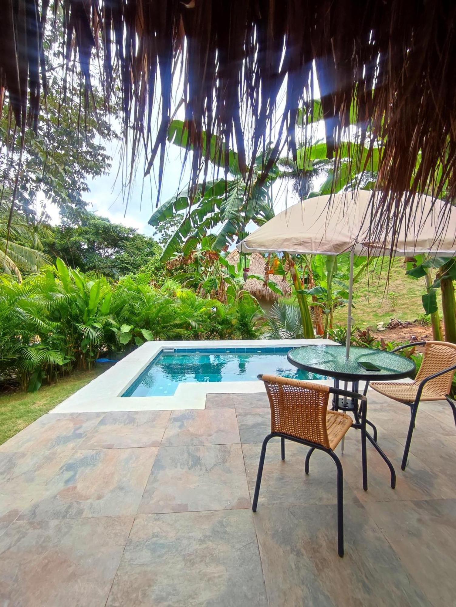 Colibri Parque Tayrona Dentro Del Parque Nacional Tayrona Bed and Breakfast Zaino Eksteriør billede