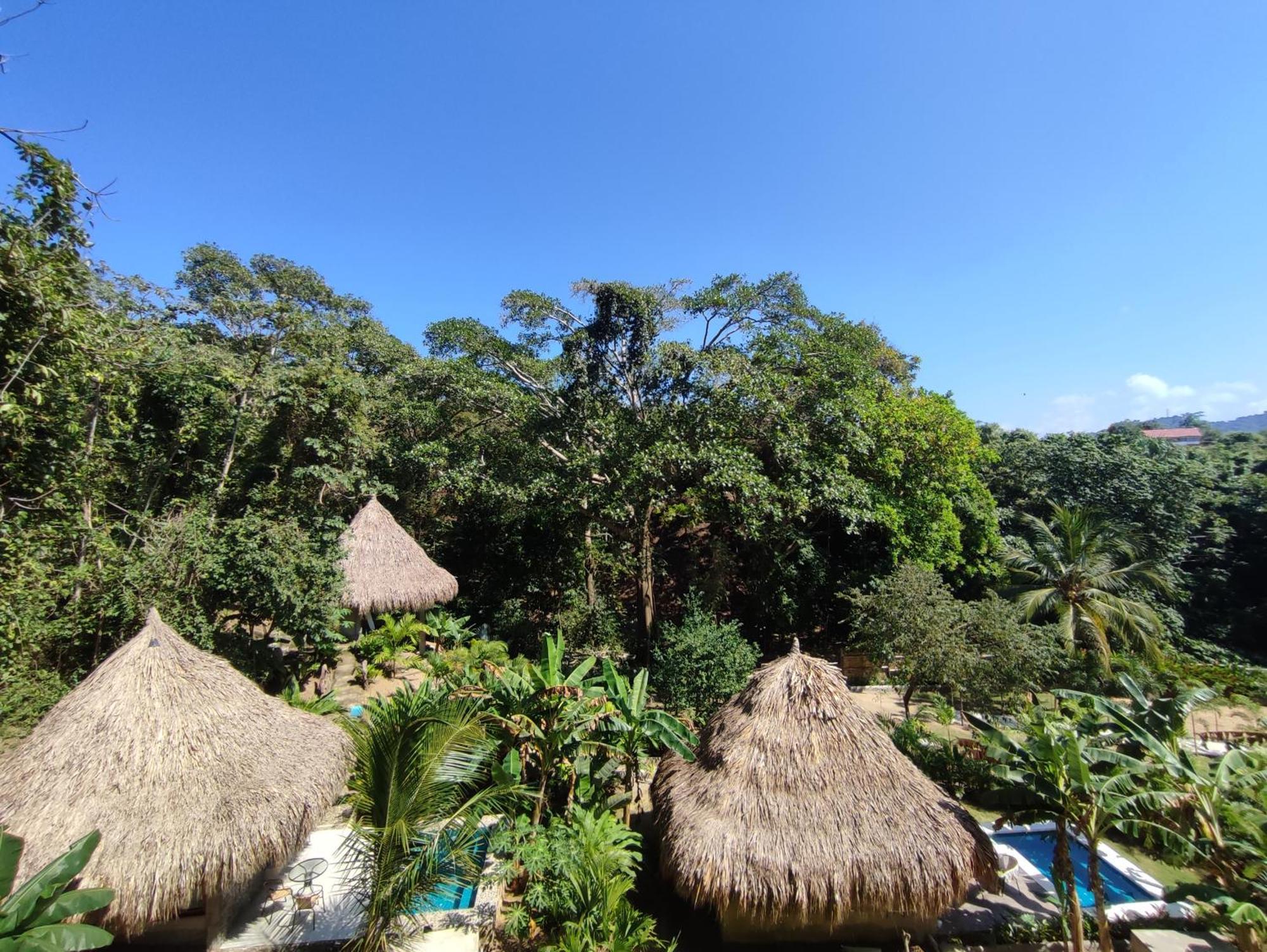 Colibri Parque Tayrona Dentro Del Parque Nacional Tayrona Bed and Breakfast Zaino Eksteriør billede